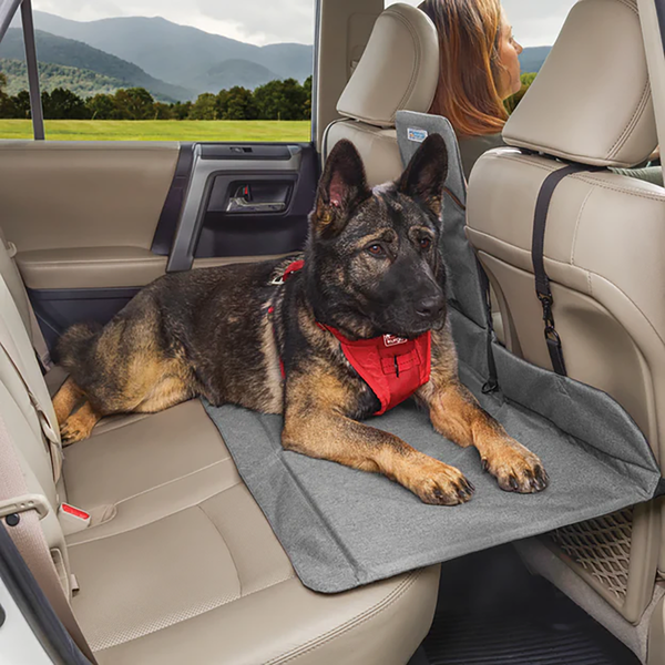 Backseat Bridge - Backseat Extender