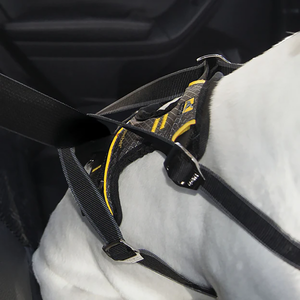 Impact Dog Car Harness