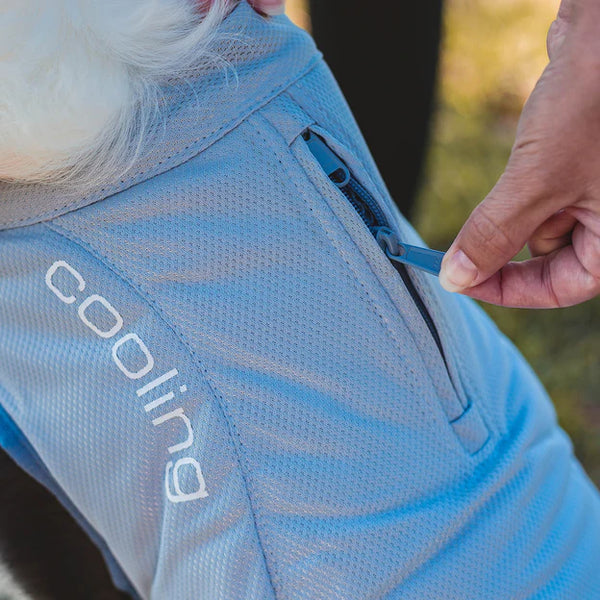 Dog Core Cooling Vest