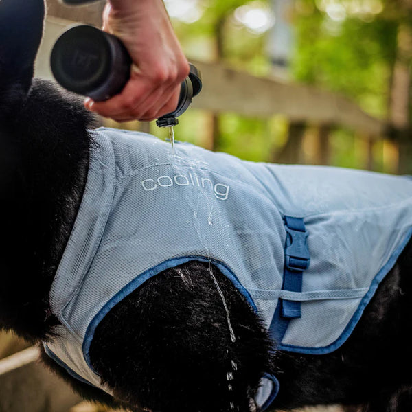 Dog Core Cooling Vest